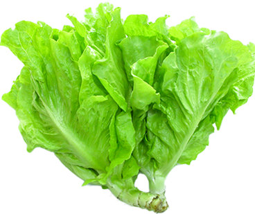 Rau xà lách xanh  - 0,2 kg