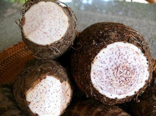Củ môn hương - 1 kg
