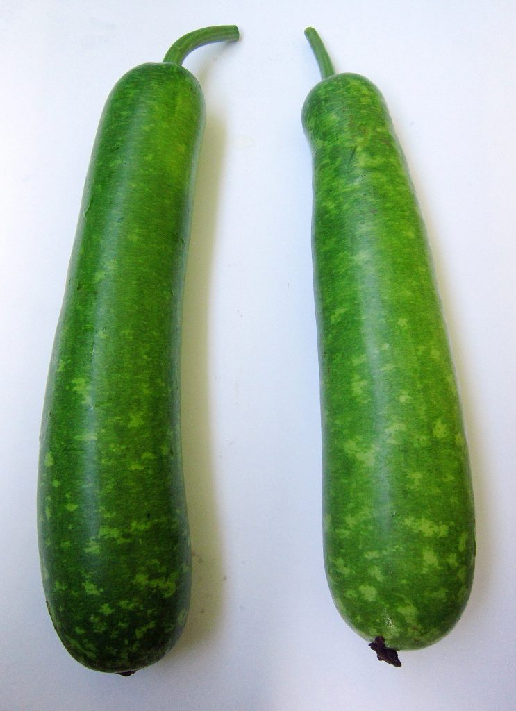 Trái bầu - 1 kg