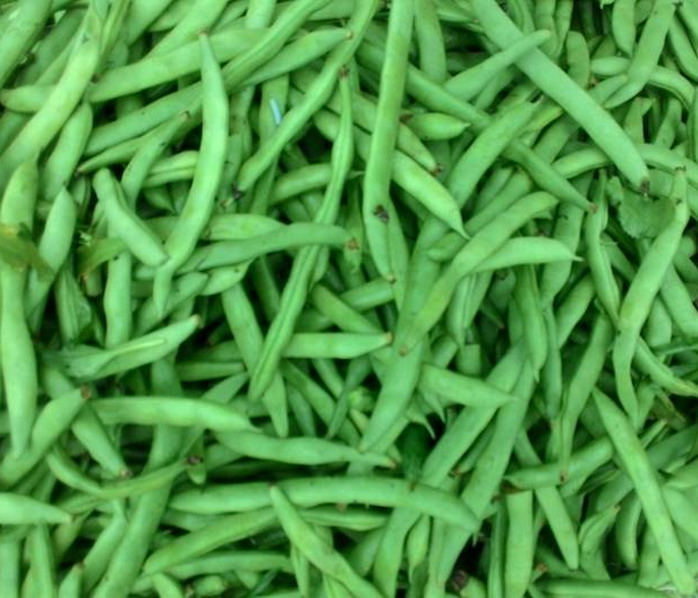 Trái đậu co ve - 1 kg