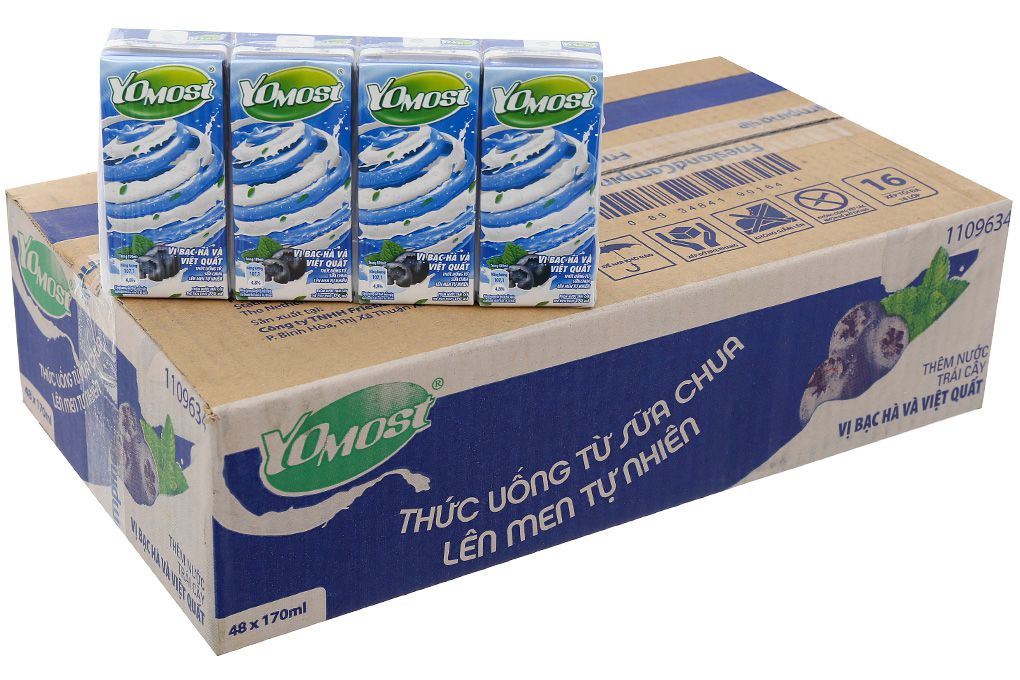 Sữa Yomost việt quất Cô gái Hà Lan - thùng 48 hộp (170 ml)