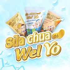 sữa chua dẻo welyo Merino - cái 