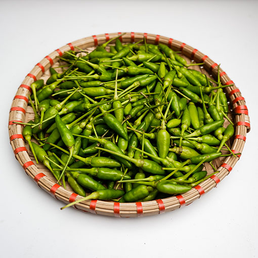 Ớt xiêm Đông Giang