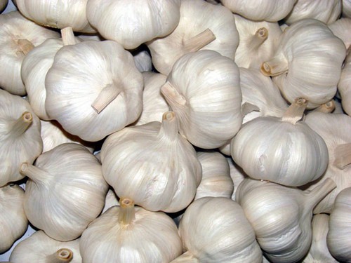 Tỏi thường - 1kg
